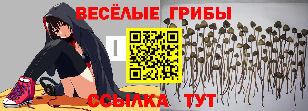 Кандалакша  Псилоцибиновые грибы GOLDEN TEACHER  Вход с VPN 